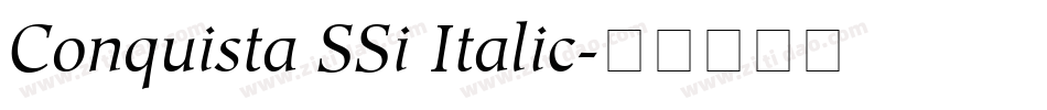 Conquista SSi Italic字体转换